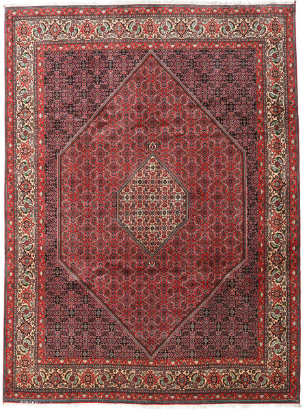 240X340 Bidjar Zanjan Matot Matto Itämainen Punainen/Tummanpunainen (Villa, Persia/Iran)