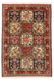  Bakhtiar Collectible Matto 103X150 Itämainen Käsinsolmittu Tummanruskea/Vaaleanruskea (Villa, Persia/Iran)