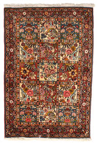  Bakhtiar Collectible Matto 102X151 Itämainen Käsinsolmittu Tummanruskea/Tummanpunainen (Villa, Persia/Iran)
